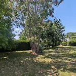 L'eucalyptus Semesterbostad Cuy-Saint-Fiacre