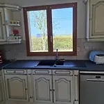 L'eucalyptus Cuy-Saint-Fiacre