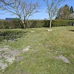 L'eucalyptus * Cuy-Saint-Fiacre