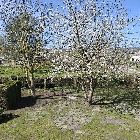 L'eucalyptus 6 P, Grand Familial, Terrasse Et Grand Parking Prive Clos Holiday home Cuy-Saint-Fiacre