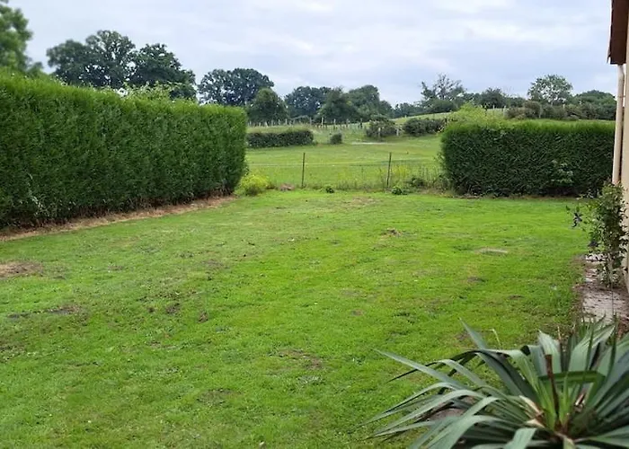 L'eucalyptus Cuy-Saint-Fiacre