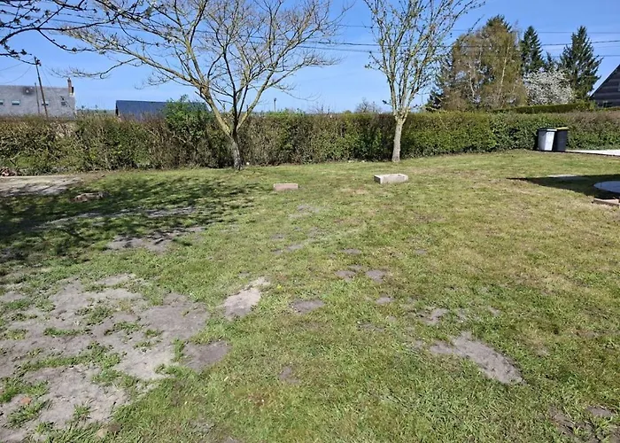 L'eucalyptus * Cuy-Saint-Fiacre